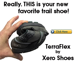TerraFlex trail running shoe